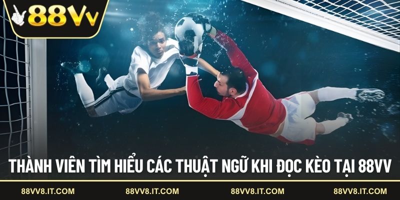 Thành viên tìm hiểu các thuật ngữ khi đọc kèo tại 88VV